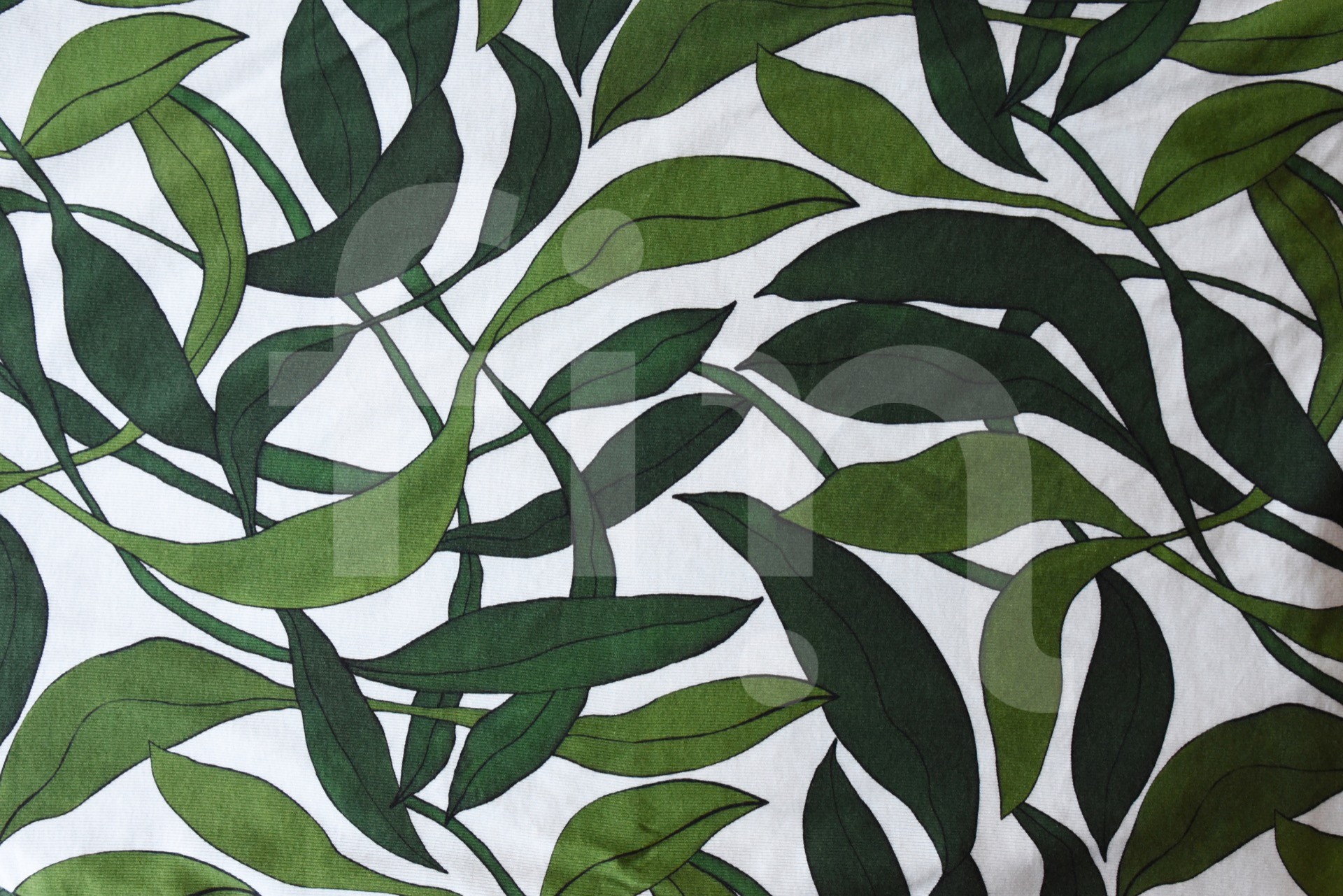 Green leafs on white illustration texture