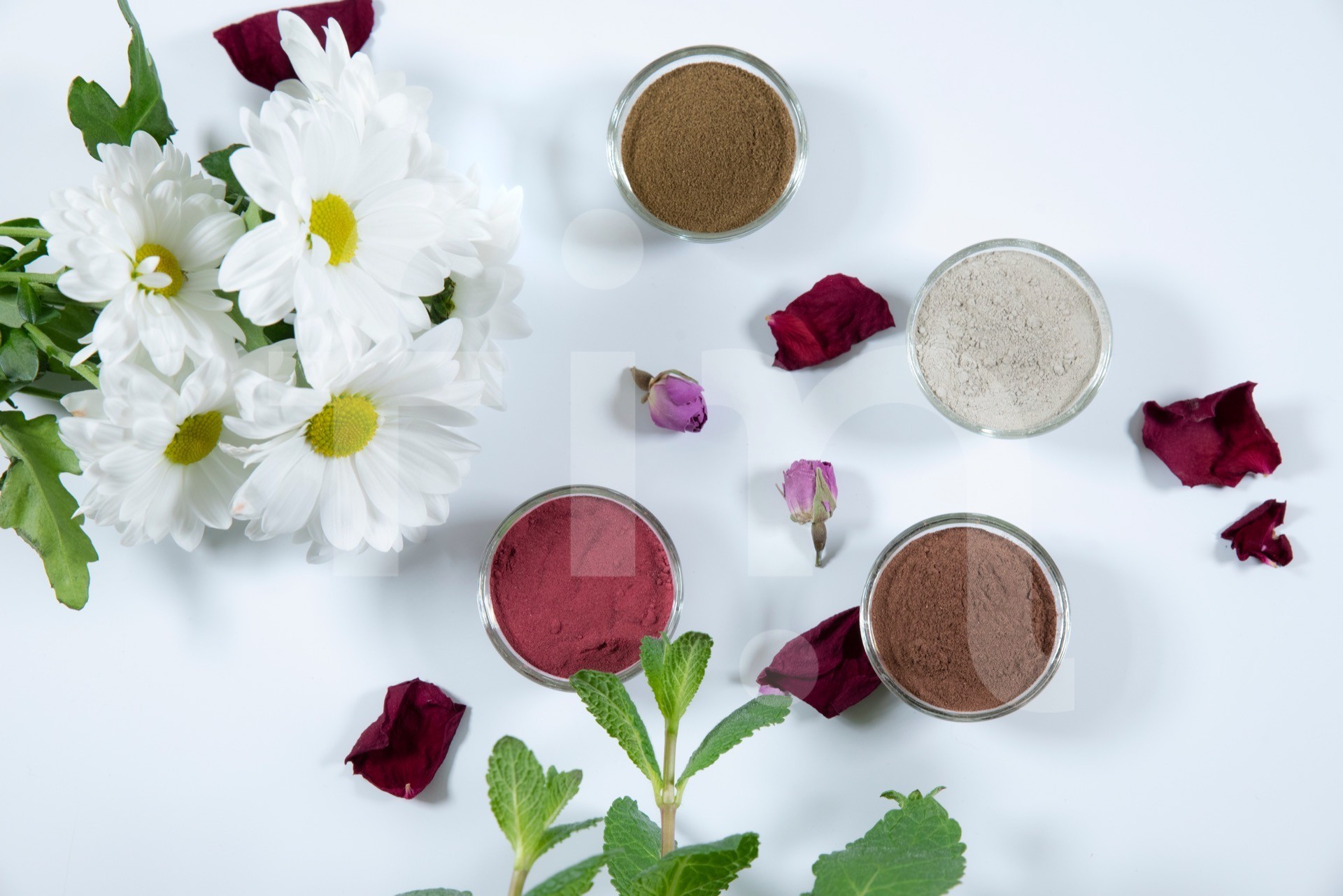 Pollen clay natural cosmetics with flowers on a white background