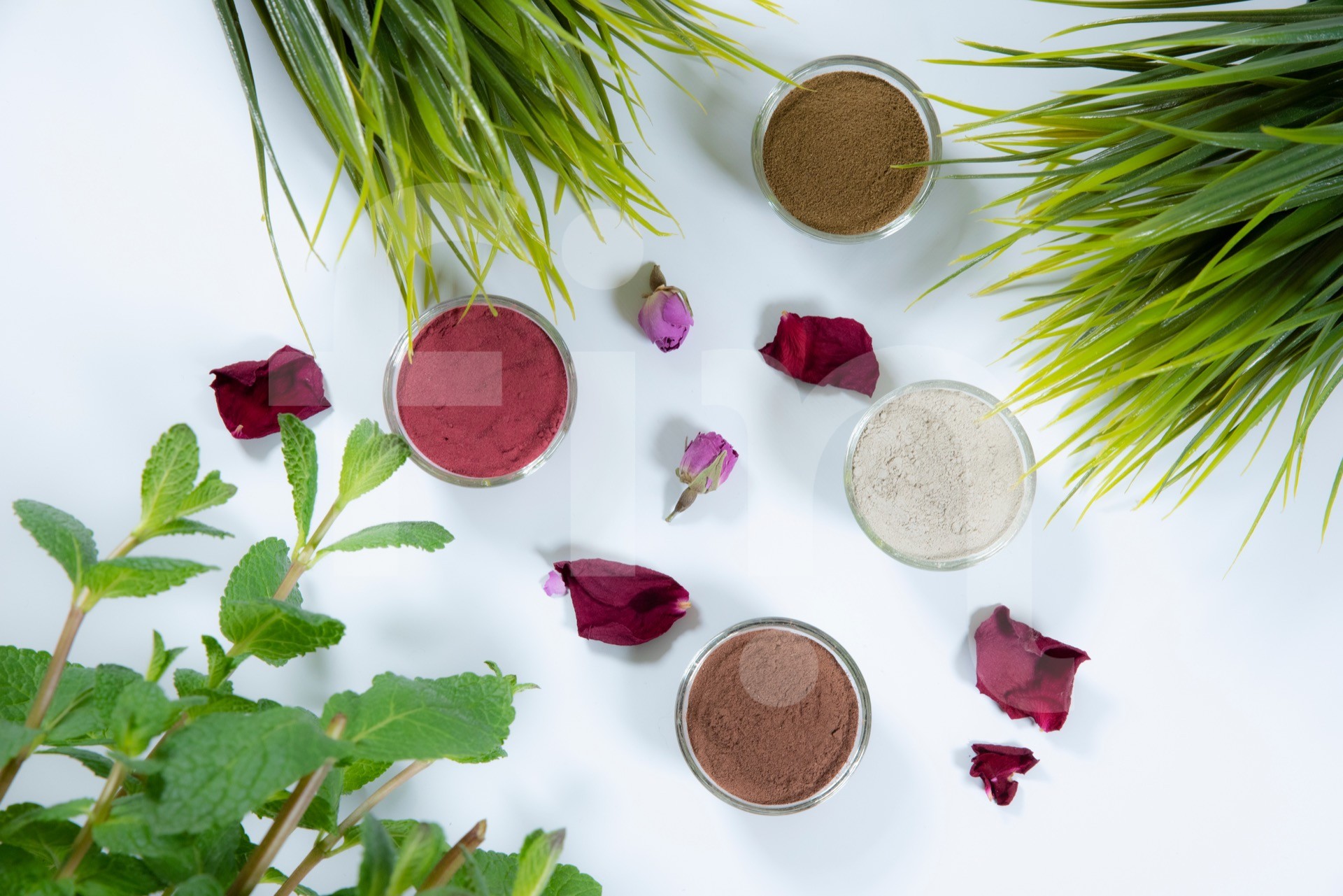 Pollen clay natural cosmetics with grass on a white background