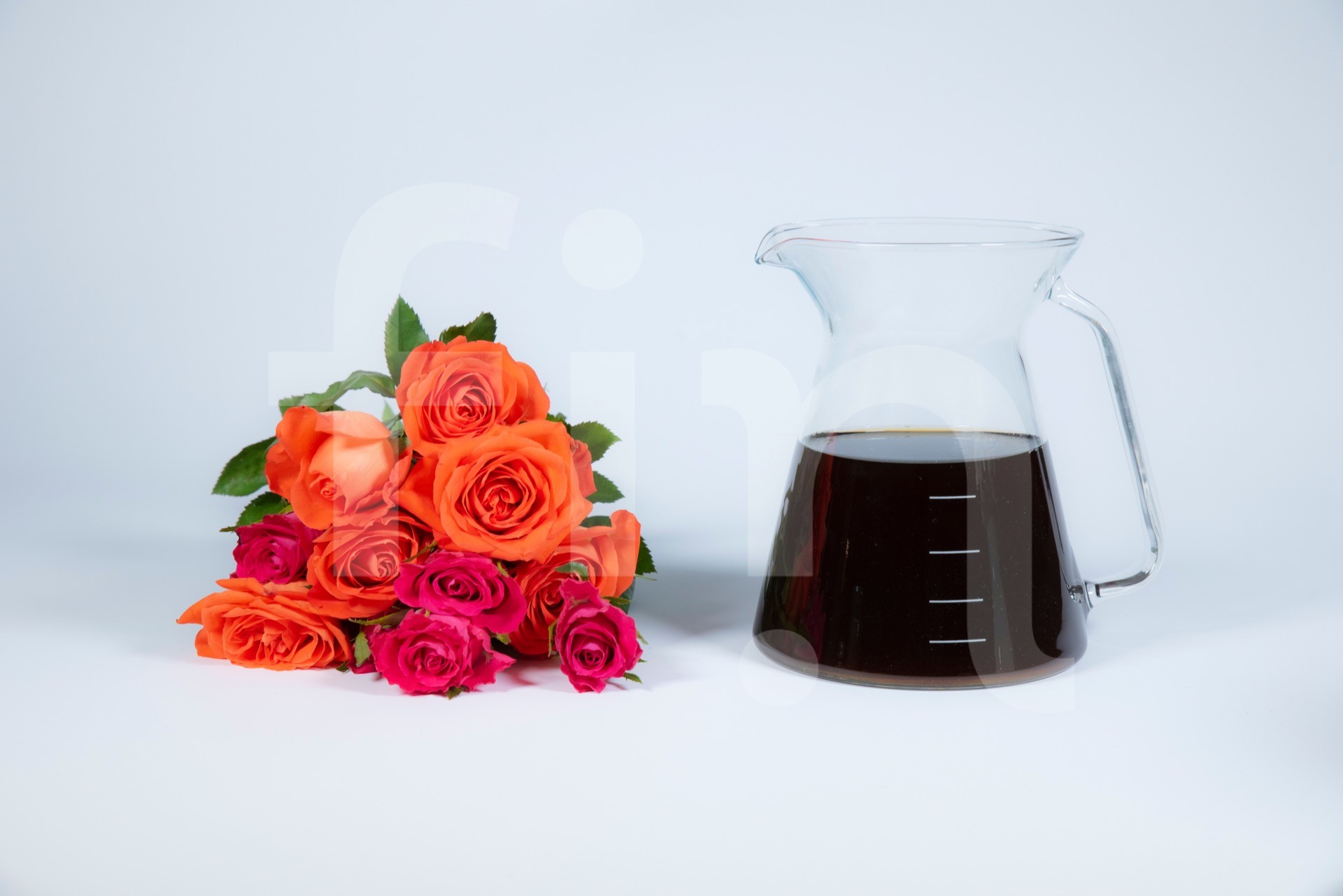 Rose tincture in a glass jar on white bacground