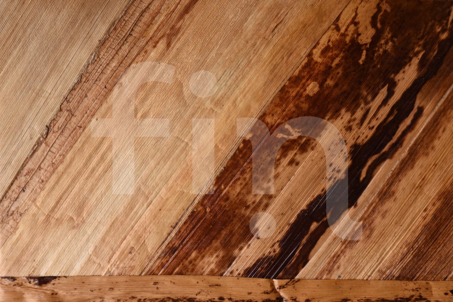 Texture of dry plant leaf diagonal lines