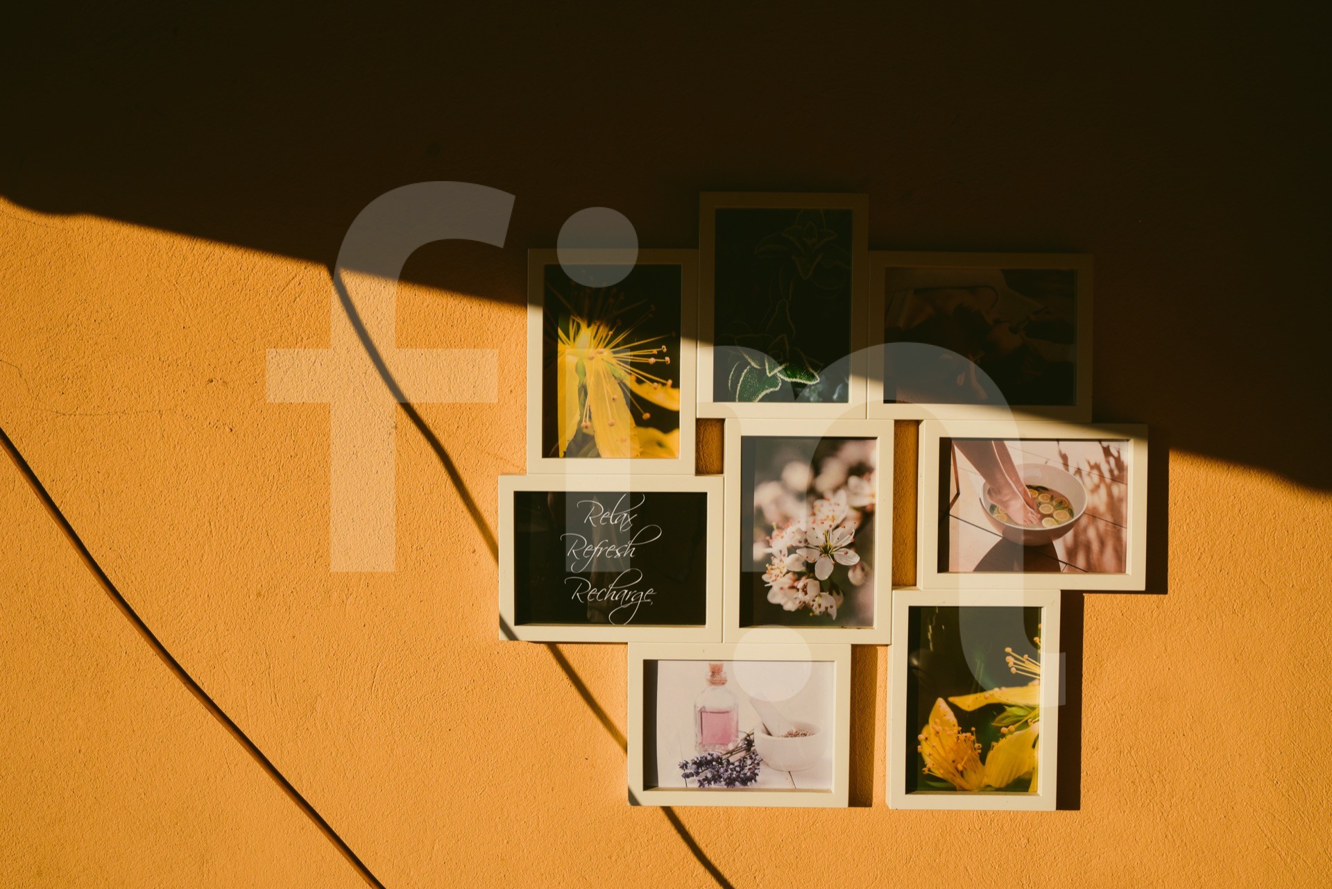 Photos on a yellow sunny wall