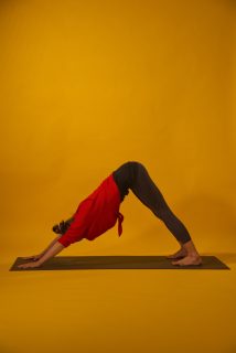 Yoga pose Downward-Facing Dog with leg up (Adho Mukha Svanasana)