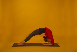 Viparita Dandasana Inverted Staff Pose inverted back-bending yoga asana