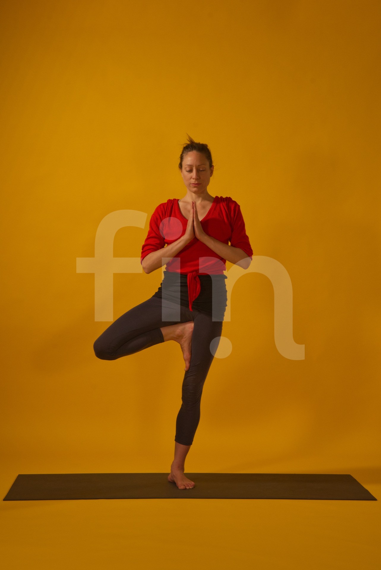 Virksasana Tree pose in yoga